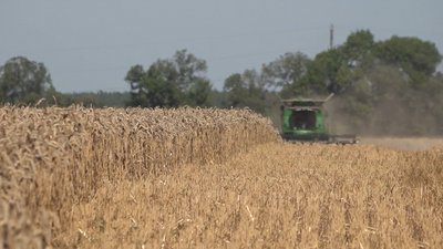 На Черкащині аграрії намолотили перший мільйон тонн зерна
