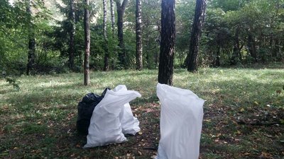 "Які люди свині", - учасниця луцької толоки "Які люди свині", - учасниця луцької толоки