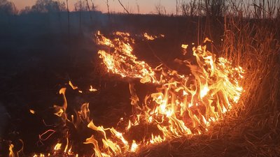 Пенсіонер, якого рятувальники знайшли під час гасіння сухостою, в реанімації