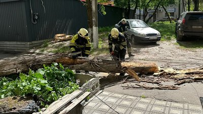 Прибирали повалені дерева з машин та автошляхів. На Дніпропетровщині рятувальники долали наслідки негоди Прибирали повалені дерева з машин та автошляхів. На Дніпропетровщині рятувальники долали наслідки негоди