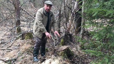 Незаконну вирубку лісу виявили у заказнику місцевого значення на Прикарпатті