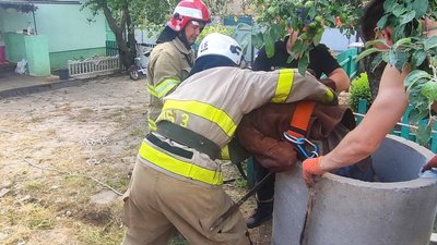 На Сумщині рятувальники дістали чоловіка з колодязя На Сумщині рятувальники дістали чоловіка з колодязя