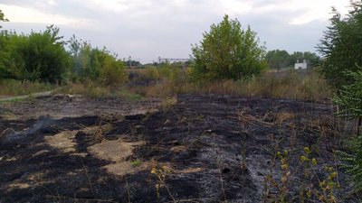 За добу на Дніпропетровщині в природних екосистемах виникло 64 пожежі на загальній площі 45 га За добу на Дніпропетровщині в природних екосистемах виникло 64 пожежі на загальній площі 45 га