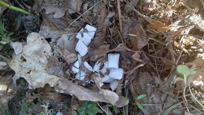 житомир, малин, поліція, наркозакладчики, наркотики, 11 квітня 2024 рік