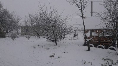 Сніг та мороз до 7 градусів: якими будуть перші дні грудня на Сумщині Сніг та мороз до 7 градусів: якими будуть перші дні грудня на Сумщині