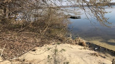 У Тернополі поліцейські з'ясовують, хто зливав відходи у міський став