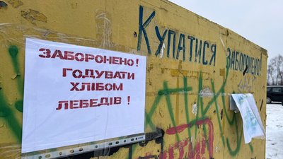 "Хліб для них — отрута". На Львівщині поблизу Червонограда загинуло чотири лебеді "Хліб для них — отрута". На Львівщині поблизу Червонограда загинуло чотири лебеді
