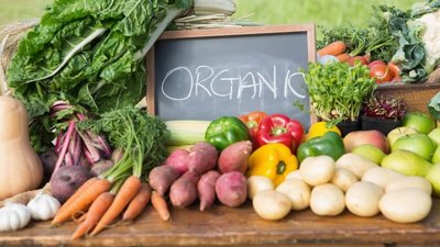 Еко, біо та органік. Рада дозволила фермерам маркувати органічну продукцію