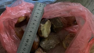 На Житомирщині повідомили про підозру співучаснику каналу збуту бурштину На Житомирщині повідомили про підозру співучаснику каналу збуту бурштину