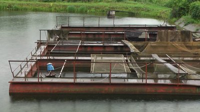 Водойма де вирощують рибу. Водойма де вирощують рибу.