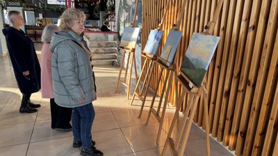 29 робіт, створених під час денного сну донечки, представила художниця у Луцьку 29 робіт, створених під час денного сну донечки, представила художниця у Луцьку