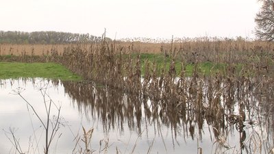 В Коробівку на Черкащині "прийшла" найвища вода за останні 40 років В Коробівку на Черкащині "прийшла" найвища вода за останні 40 років
