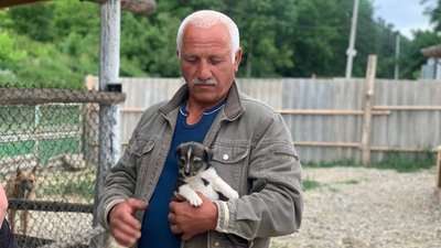 На Буковині прихистили понад сотню собак та котів, яких врятували із Херсона На Буковині прихистили понад сотню собак та котів, яких врятували із Херсона