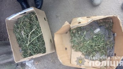 Поліцейські Житомирщини вилучили майже кілограм канабісу