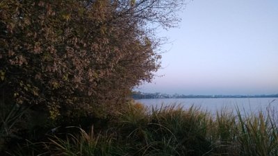 Тернопільське озеро