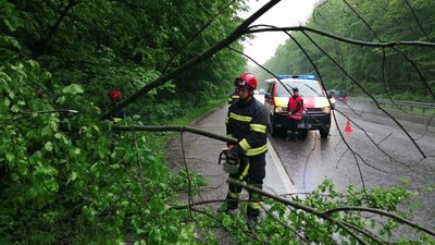 Повалені дерева, пошкоджені високовольтні мережі та затори на дорозі: наслідки негоди на Вінниччині