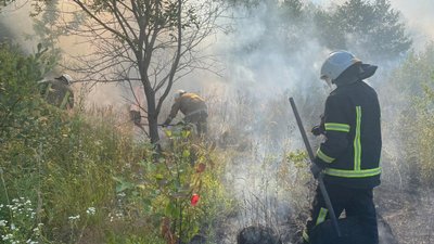 Кількість загиблих від спалювання сухої трави на Прикарпатті зросла до трьох Кількість загиблих від спалювання сухої трави на Прикарпатті зросла до трьох
