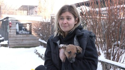 Анастасія Мунтянова з цуценям з Авдіївки Анастасія Мунтянова з цуценям з Авдіївки