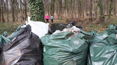 Близько 500 пакетів та понад 200 мішків зі сміттям зібрали під час "Екотолоки" в Ужгороді