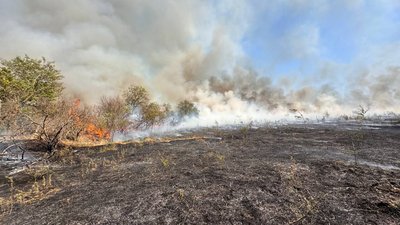 Пожежа на Хортиці: рятувальники локалізували загоряння