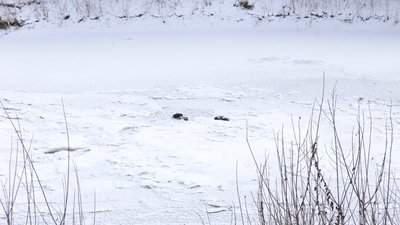 Хлопчик провалився під лід Хлопчик провалився під лід