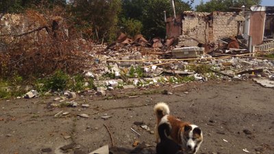 Зруйноване село Івашки Золочівської громади