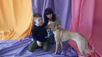 Колодій Фотосесія з тваринами Колодій Фотосесія з тваринами