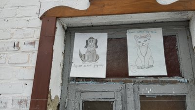"Чіп, Дейл, Гаєчка та Мушка": до Полтави евакуювали чотирьох цуценят з Курахового "Чіп, Дейл, Гаєчка та Мушка": до Полтави евакуювали чотирьох цуценят з Курахового