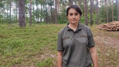Попит на дрова на Житомирщині зростає, ціна теж Попит на дрова на Житомирщині зростає, ціна теж