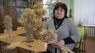 Найлегше робити дідуха з безостої пшениці Найлегше робити дідуха з безостої пшениці
