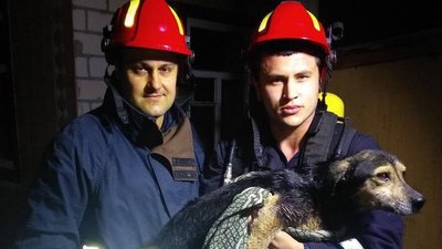 На Черкащині з 25-метрового колодязя врятували собаку