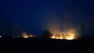 На Франківщині за одну добу зафіксували 84 пожежі сухої трави