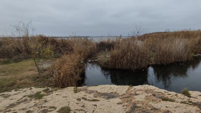 Нерозірвані снаряди, порубані дерева, наслідки пожеж: науковці оглянули Нацпарк "Кам'янська січ" на Херсонщині Нерозірвані снаряди, порубані дерева, наслідки пожеж: науковці оглянули Нацпарк "Кам'янська січ" на Херсонщині