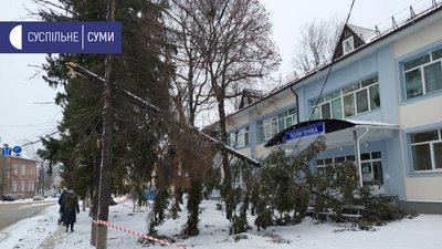 Наслідки дії шквального вітру в Сумах (ФОТОРЕПОРТАЖ)