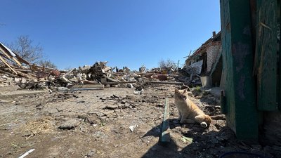 Обстріл Комишувахи 23 квітня: наслідки