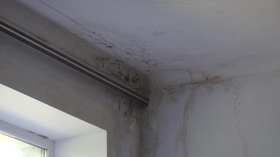 У школі на Житомирщині за три мільйони гривень замінять дах, який протікав останні 5 років У школі на Житомирщині за три мільйони гривень замінять дах, який протікав останні 5 років