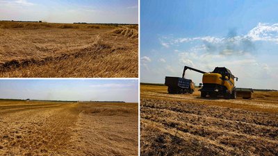 На Кіровоградщині через зливу частково призупинили жнива На Кіровоградщині через зливу частково призупинили жнива