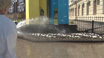 Квіти поливають кілька разів на тиждень. Квіти поливають кілька разів на тиждень.