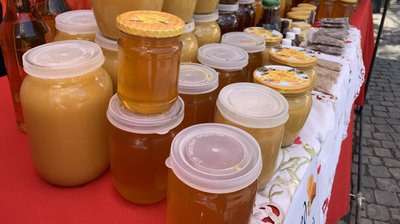 В Ужгороді стартували "Дні Сакури" В Ужгороді стартували "Дні Сакури"