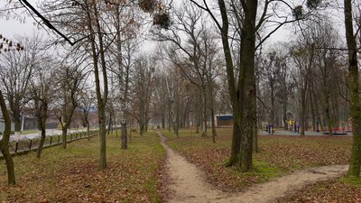 Алея в парку 