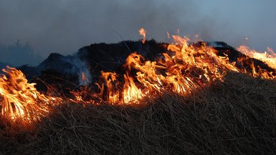 "Кількість звернень скорочується". На Львівщині про заборону спалення сухої трави нагадують байкери