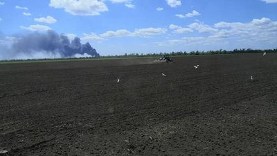 Тепла зима та високі ціни. Як аграрії Миколаївщини готуються до весняно-польових робіт Тепла зима та високі ціни. Як аграрії Миколаївщини готуються до весняно-польових робіт