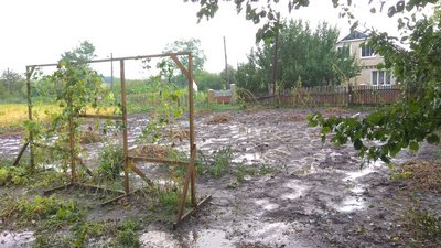 У селі на Черкащині градом побило городину У селі на Черкащині градом побило городину