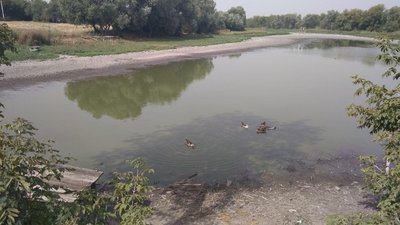 "Нема води в колодязях і ставках". Жителі сіл на Сумщині звинувачують орендаря у пресиханні водоймищ "Нема води в колодязях і ставках". Жителі сіл на Сумщині звинувачують орендаря у пресиханні водоймищ