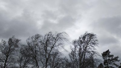 Штормове попередження на Волині: прогнозують град, вітер, дощ та грози