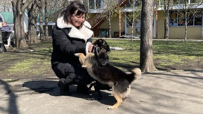 Нові домівки для чотирилапих. У Миколаєві відбулася виставка-прилаштування тварин Нові домівки для чотирилапих. У Миколаєві відбулася виставка-прилаштування тварин