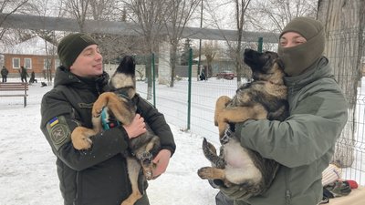 собаки нацгвардія собаки нацгвардія