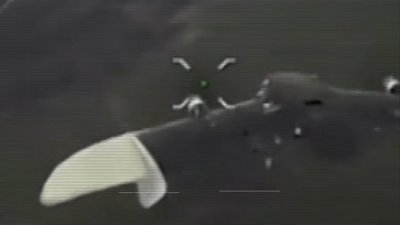 14 бригада, 14 ОМБр