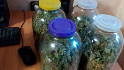 Подружжя з Херсонщини підозрюють у збуті марихуани на території області