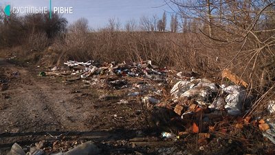 Викинута свиня та вірус африканської чуми: подробиці інциденту на Рівненщині
